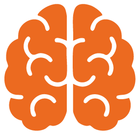 A digital illustration of a human brain