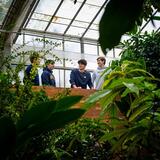 Four students in University of Michigan gear stand on the second floor of a green house looking down on the trees
