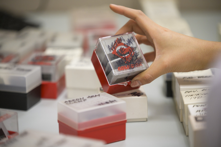 Schmitt and Dorje worked methodically to collect a title and date from each slide box. (Photo: Jeff Smith)