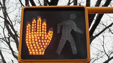 Pedestrian signal