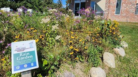 A rock-lined garden with native plants and a green sign identifying it as a "Rain Garden"
