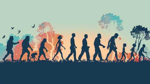 Landscape photo of human evolution timeline. 