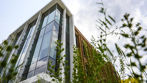 A corner window of the Leinweber building, seen from below.