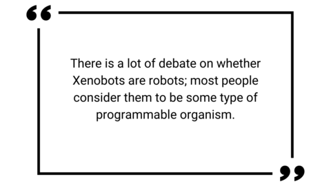 There is a lot of debate on whether Xenobots are robots; most people consider them to be some type of programmable organism.